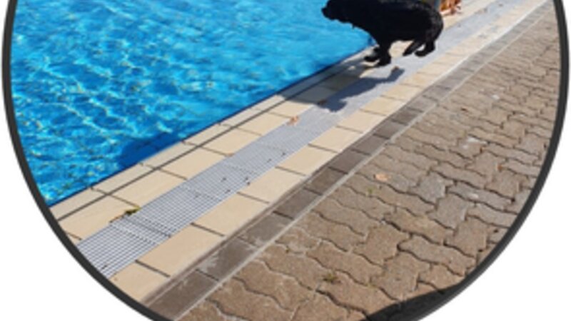 Hundebaden zum Saisonende im Freibad
