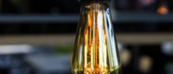 19.01.-27.03.2026 Aktionstage 